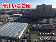 滑川いちご園の写真2