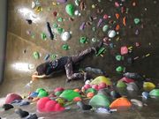 MAHOROBA FORESTの写真2