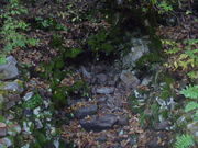 中山風穴の写真1