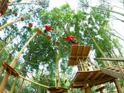 フォレストアドベンチャー・栗東の写真2