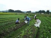 高橋農園の写真2