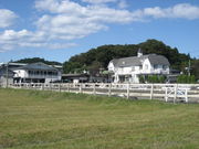 八王子乗馬倶楽部の写真2