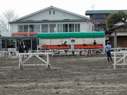 八王子乗馬倶楽部の写真3