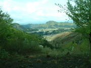 山菜ときのこの案内人会の写真3