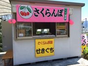 さくらんぼ園 せきぐちの写真2