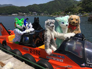 フジミマリンの写真3