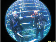 あとぱぱダイビングサービスの写真2