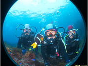 あとぱぱダイビングサービスの写真3