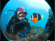 あとぱぱダイビングサービスの写真4