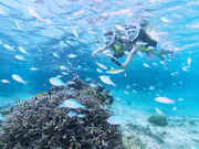 サマーリゾート宮古島の写真2