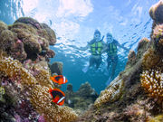 サマーリゾート宮古島の写真3