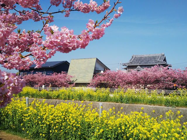免々田川