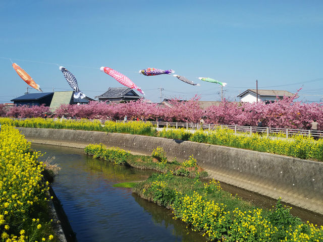 免々田川