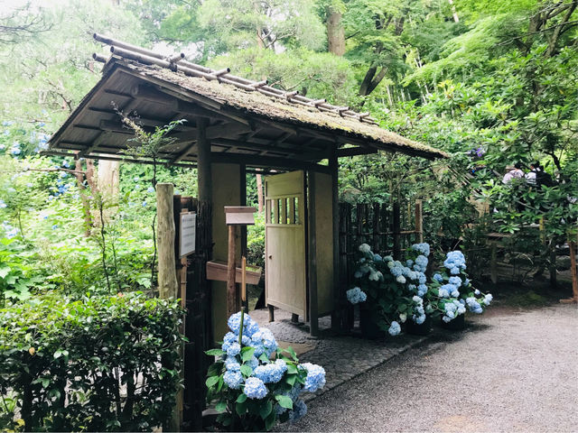 月笑軒