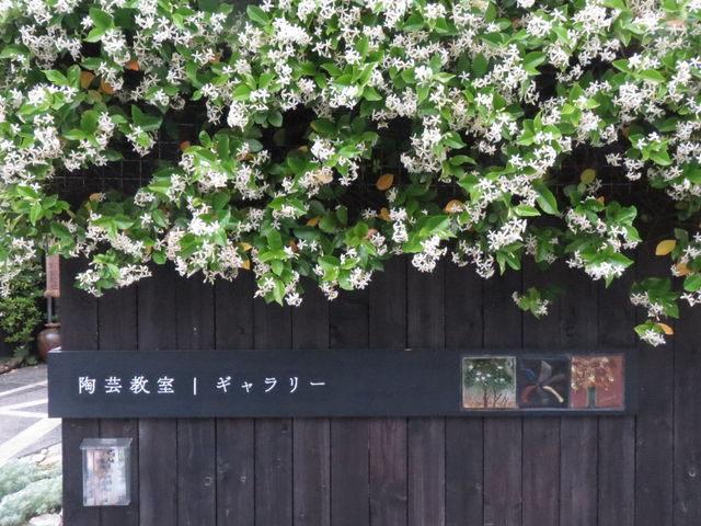 陶芸教室 はなの木