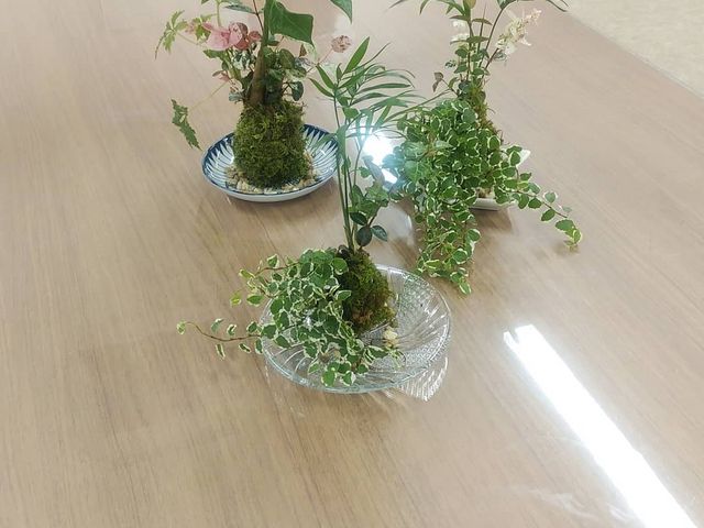 Fleur branch