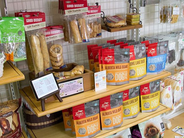 ワイズドギー富山店