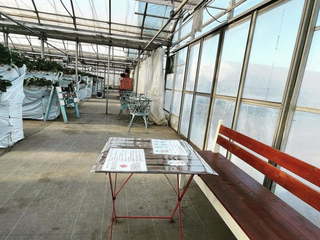 ハウス内で説明を受けてください。_金子苺園