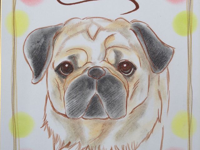 ペット似顔絵もお描きします。_Dosanco Slala Pro