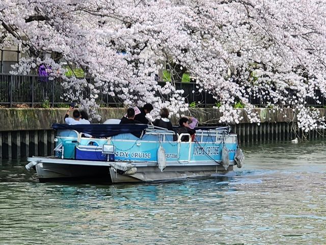 インディクルーズ 八軒家浜船着場