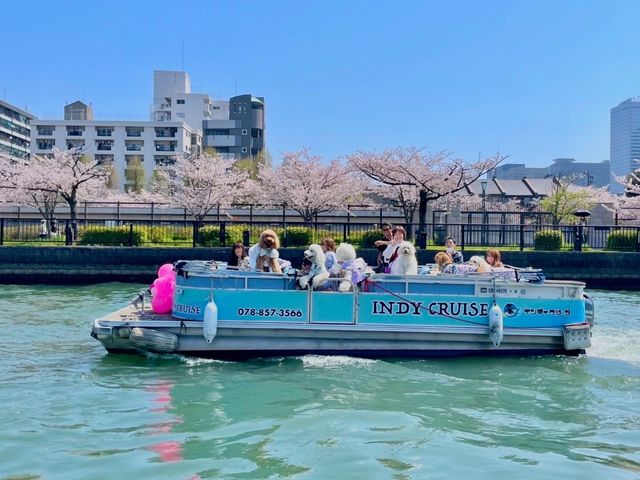 インディクルーズ 八軒家浜船着場