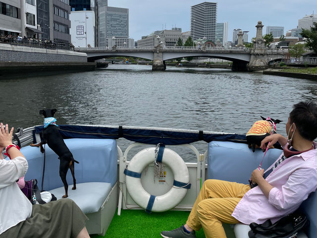 インディクルーズ 中之島ローズポート