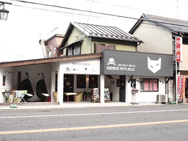 ネコリパブリック 岐阜店