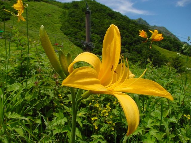 みなかみ山岳ガイド協会