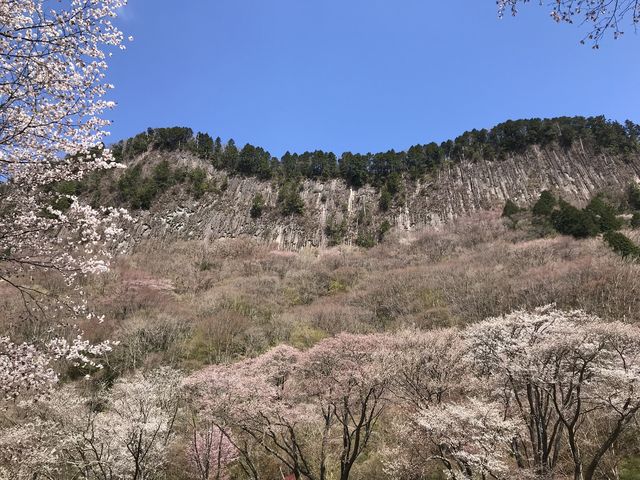 そに木霊リゾート垰 ~TAWA~
