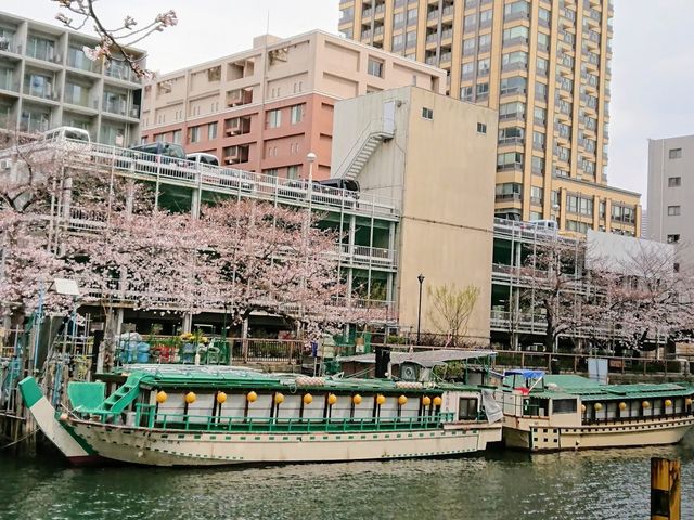 屋形船 あら川丸