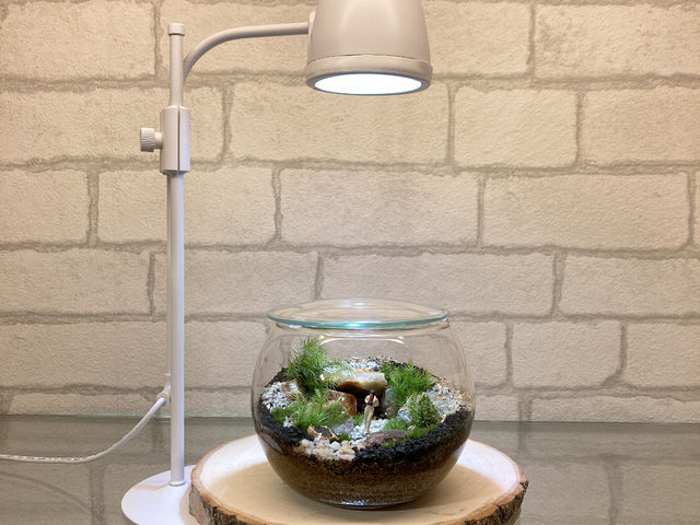 Terrariums 吉祥寺店 by Feel The Garden