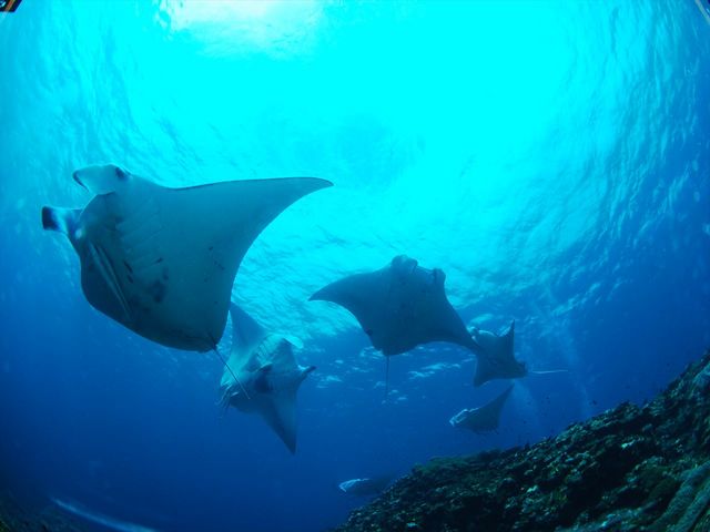シータイム 石垣島