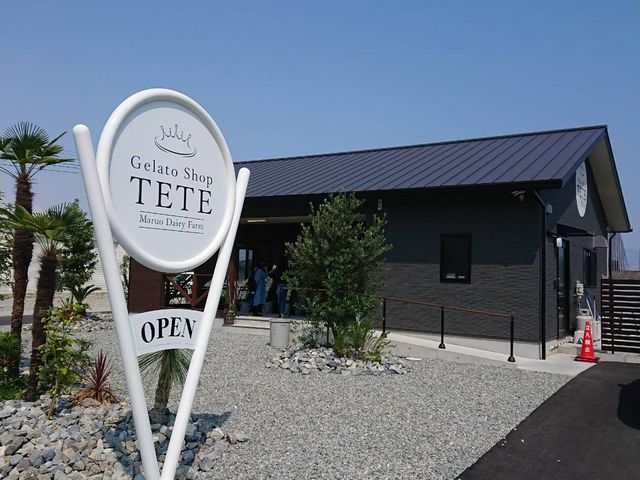 Gelato Shop TETE