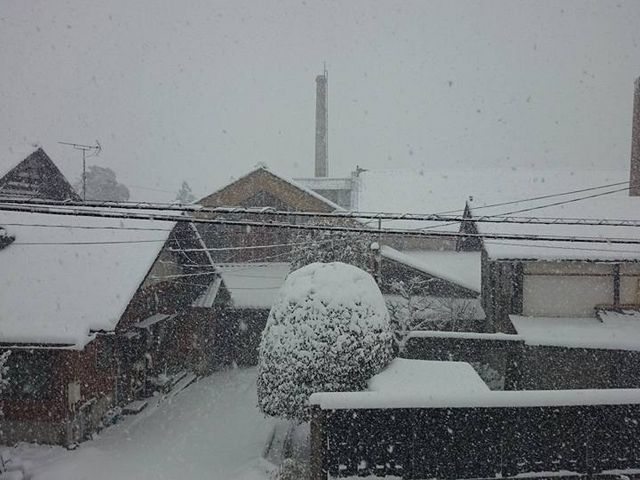 冬の笹祝酒造_笹祝酒造