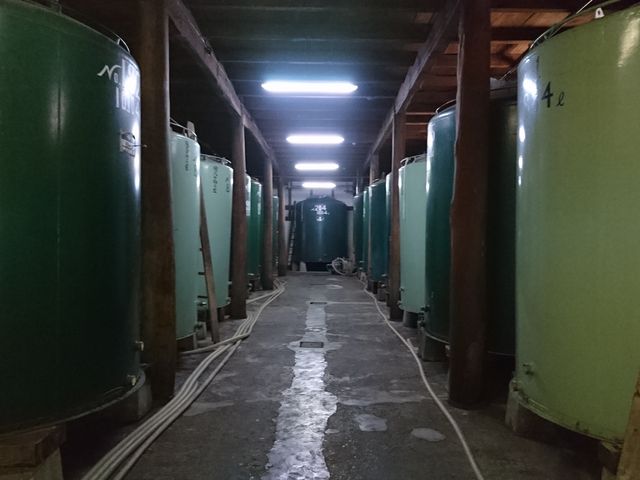 貯蔵タンク_笹祝酒造