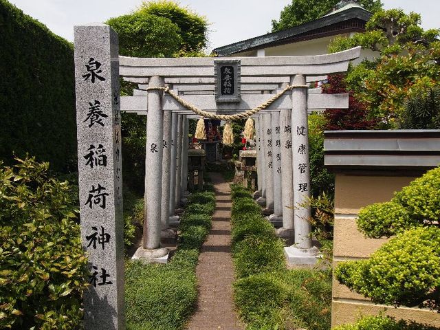 専養稲荷