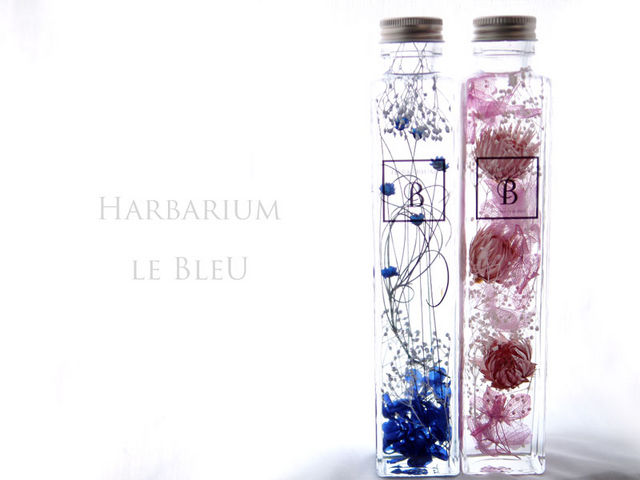 le Bleu