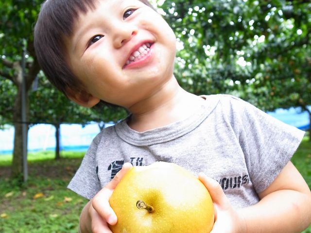 いえきち梨園