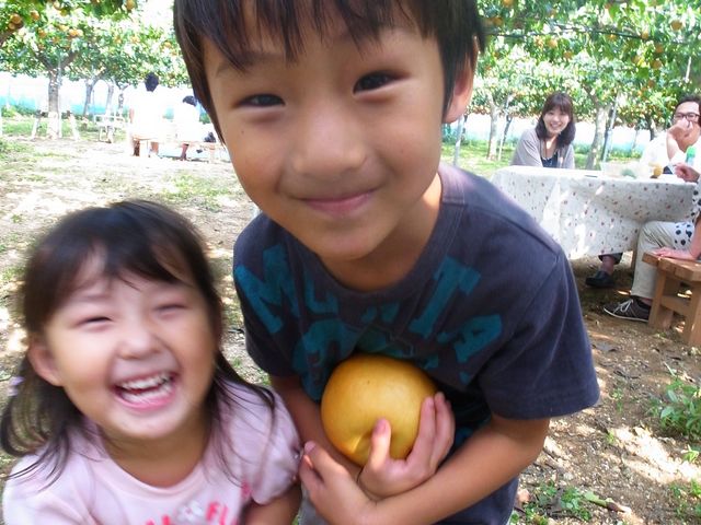 いえきち梨園