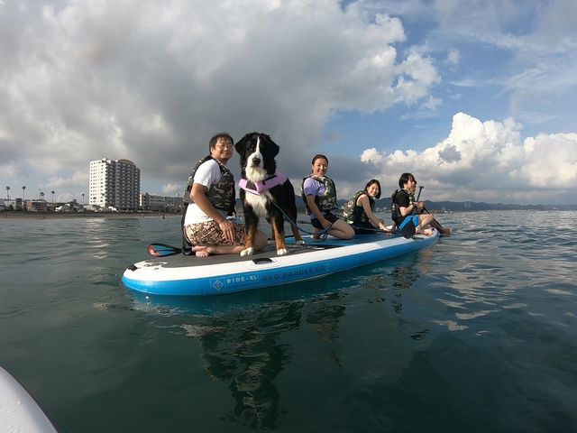 愛犬と一緒に!超大型犬も大丈夫。_SUP GUIDE KAMOGAWA