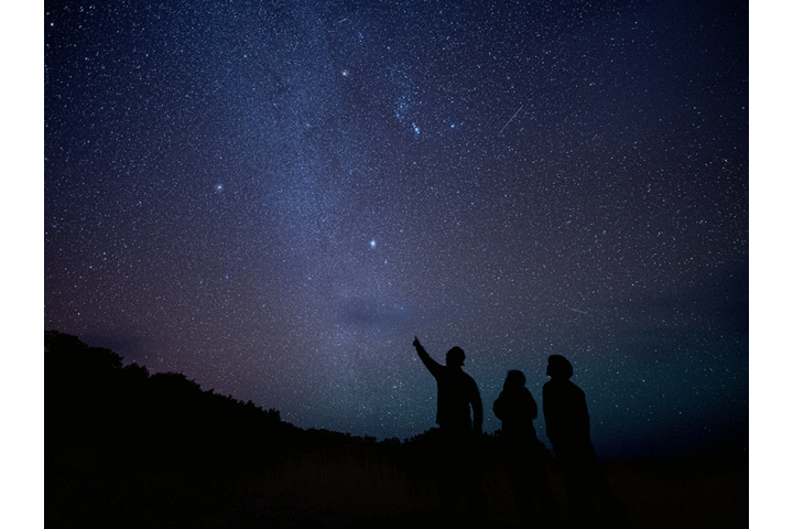 島で唯一星空観察をセットにしたナイトツアーです。_父島ガイドPolaris
