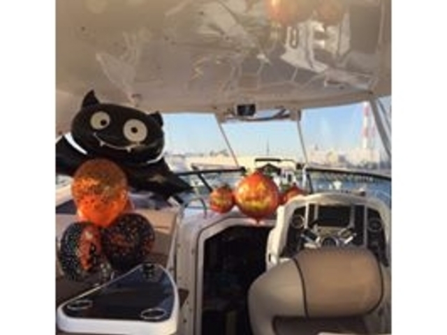 メインキャビン
(ハロウィーン使用)_新豊洲クルージングクラブ