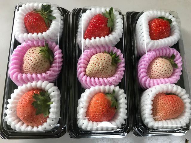 BerryParkいずみの