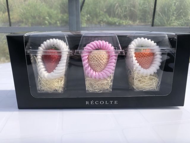 BerryParkいずみの