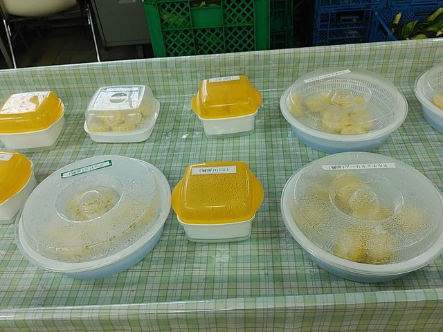 体験農園から少し離れた場所にある直売所では毎日試食があります。_吉備高原ファーム