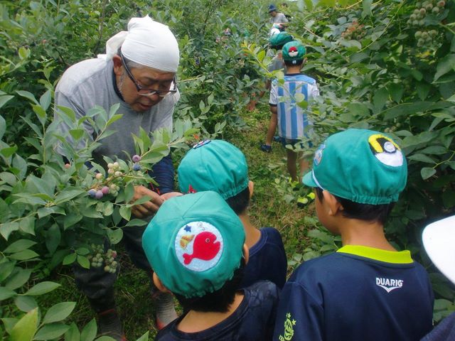 丹波篠山 伝田農産