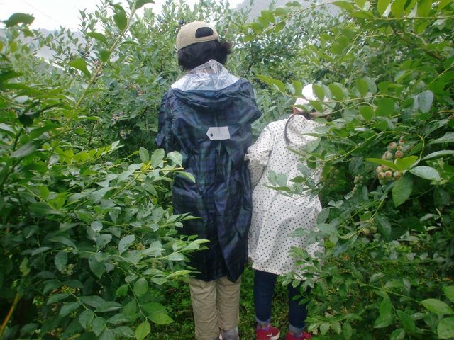 丹波篠山 伝田農産