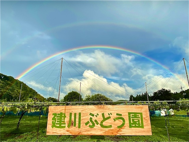 建川ぶどう園