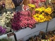 エフスリーの写真4