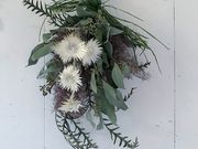 エフスリーの写真2